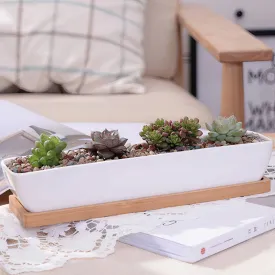 11" Modern Rectangular Ceramic Succulent Planter with Bamboo