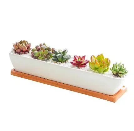 11" Modern Rectangular Ceramic Succulent Planter with Bamboo