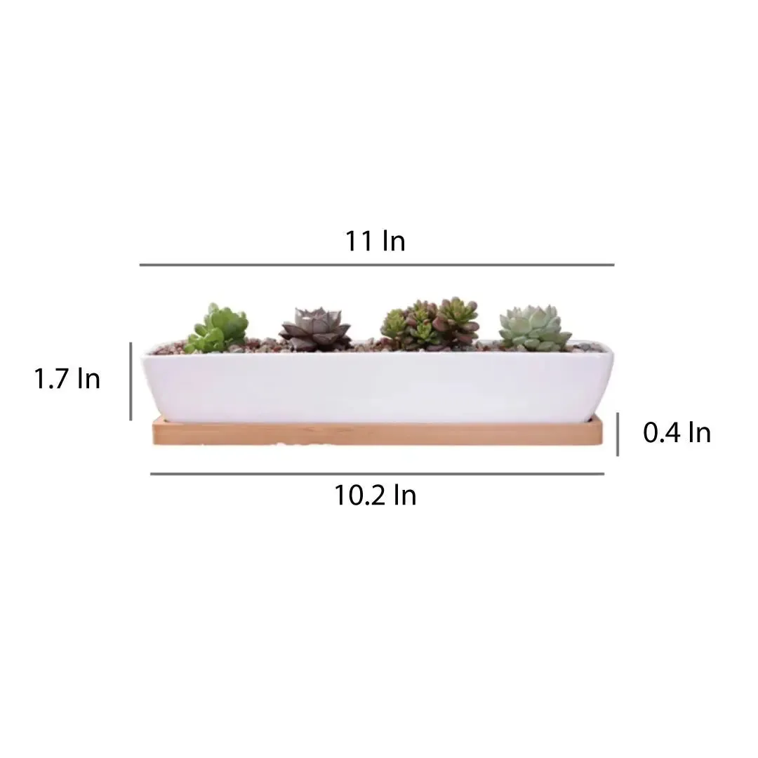 11" Modern Rectangular Ceramic Succulent Planter with Bamboo