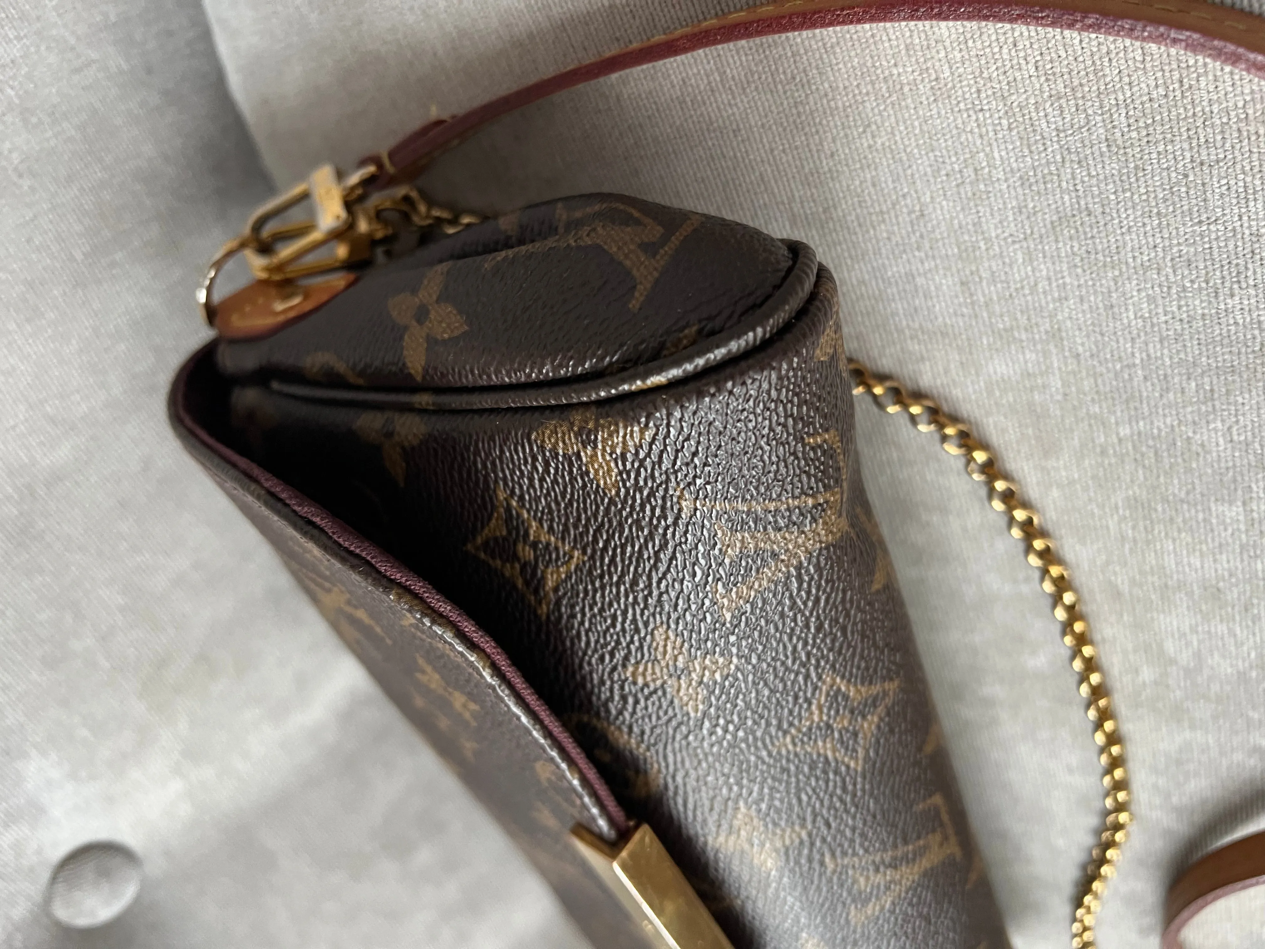 Louis Vuitton Favorite PM Monogram