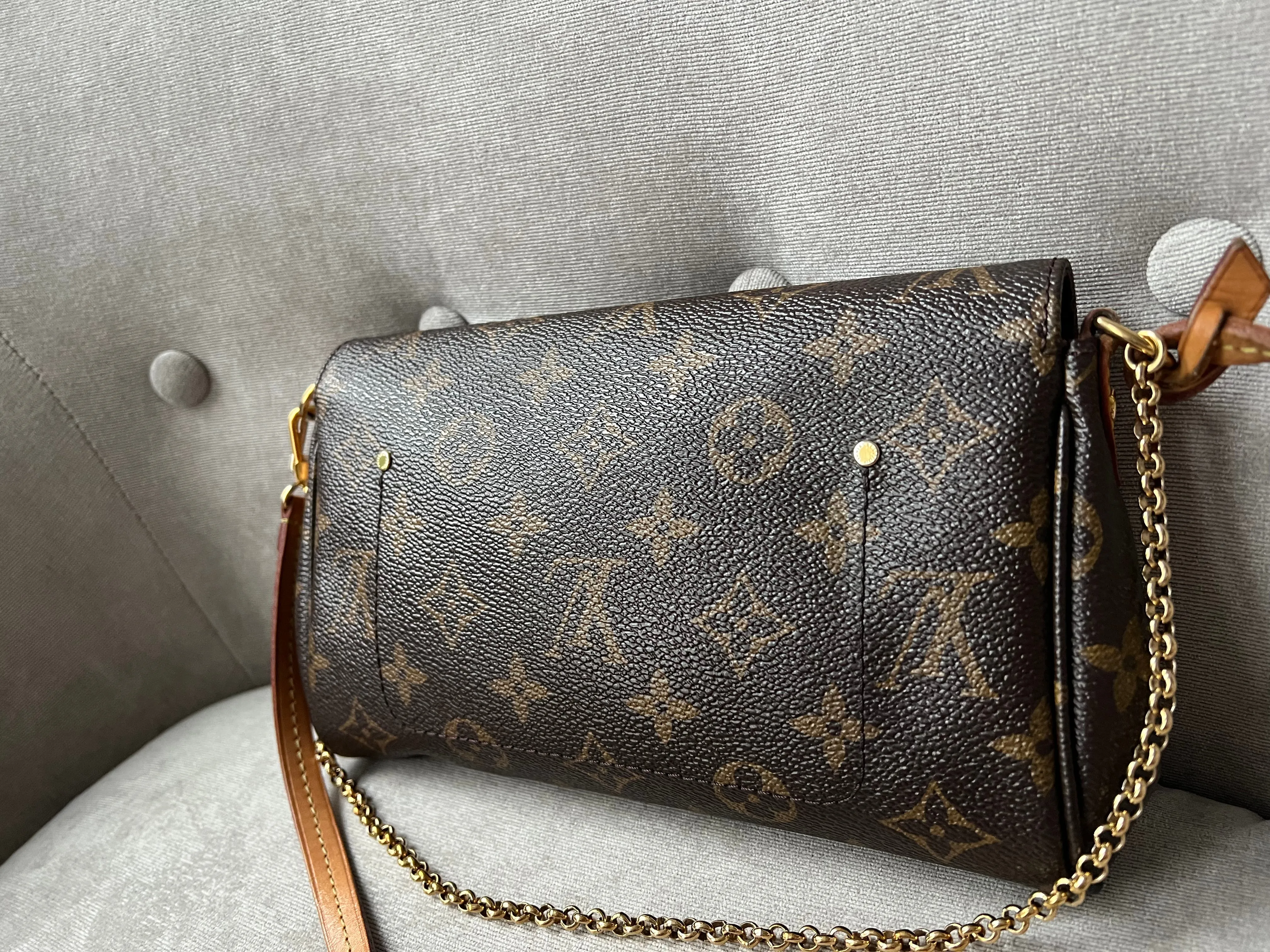Louis Vuitton Favorite PM Monogram