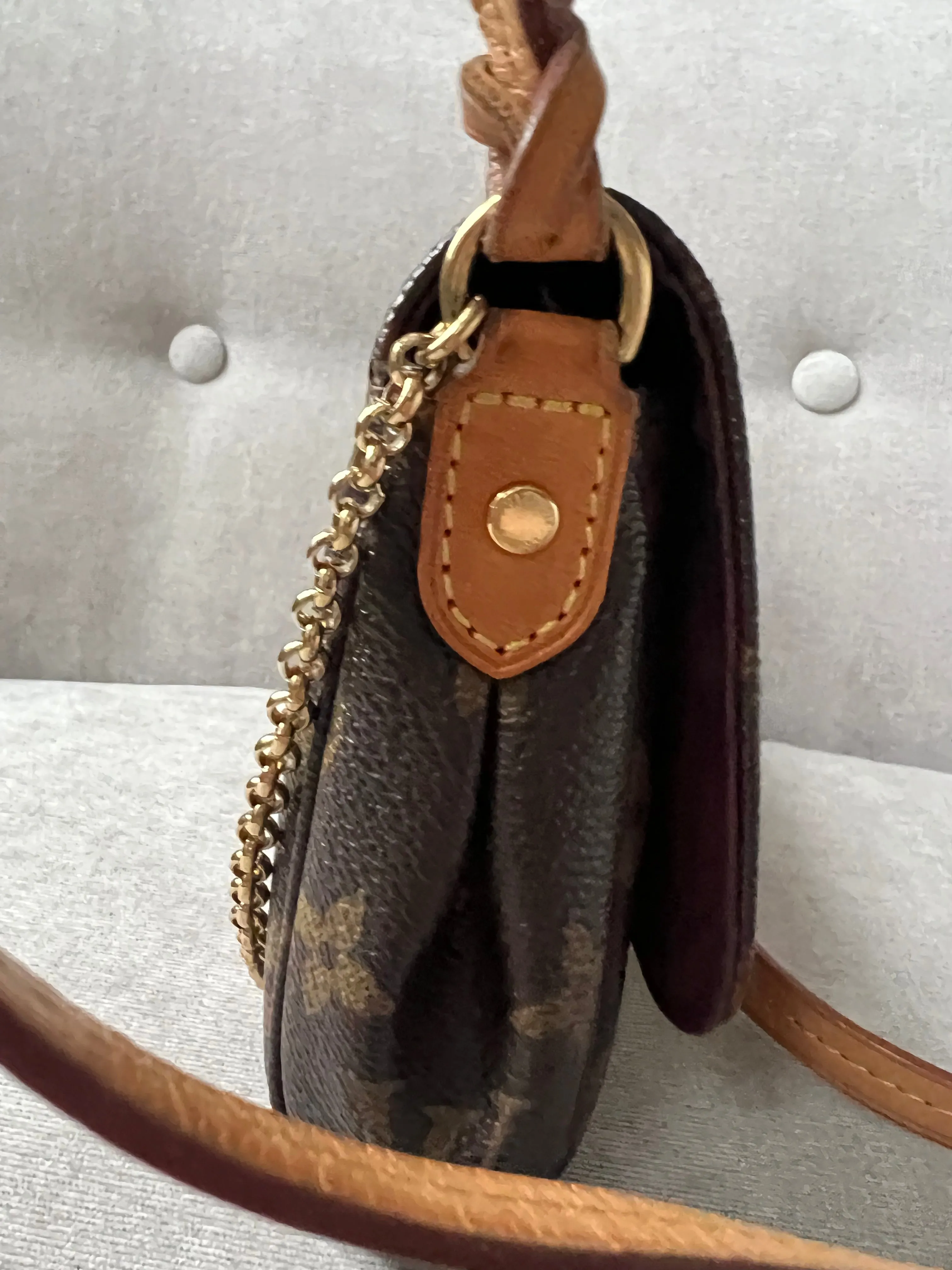 Louis Vuitton Favorite PM Monogram