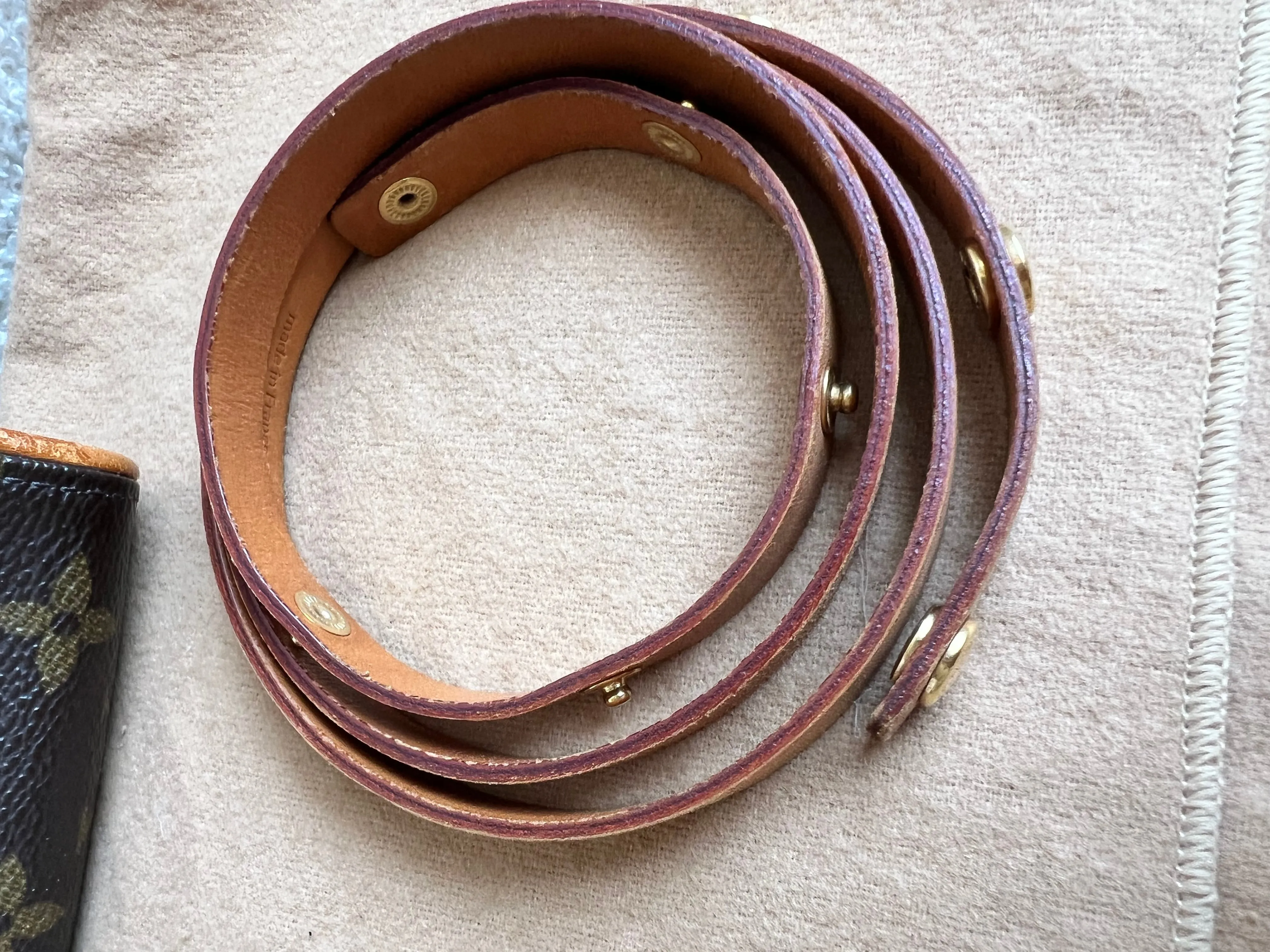 Louis Vuitton Monogram Florentine Belt Bag