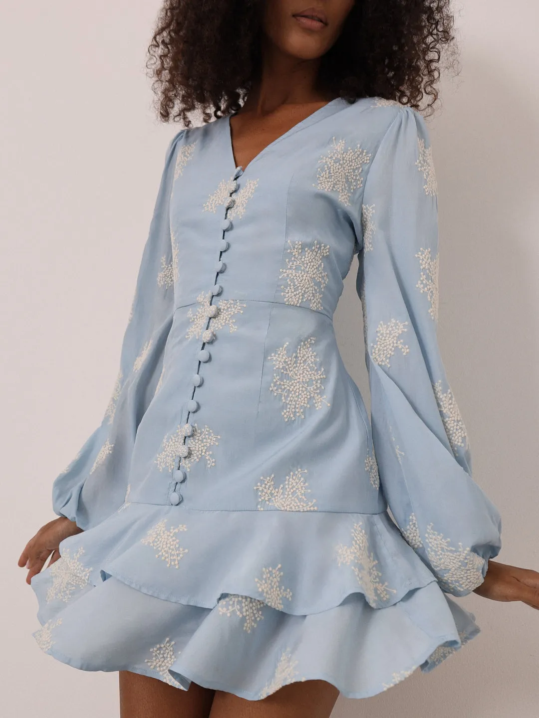 Mia Embroidered Frill Day Dress | Blue