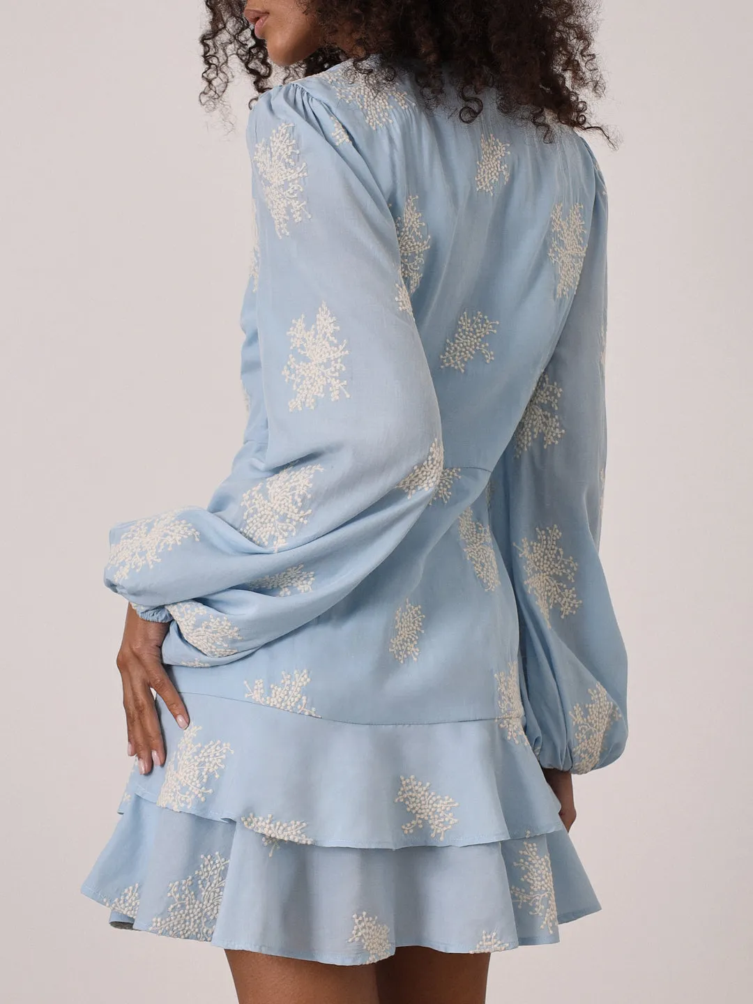 Mia Embroidered Frill Day Dress | Blue