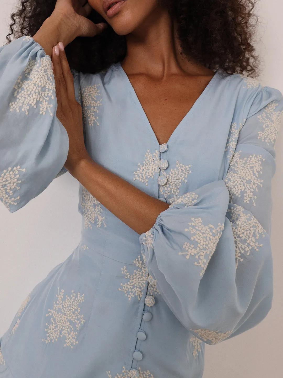 Mia Embroidered Frill Day Dress | Blue